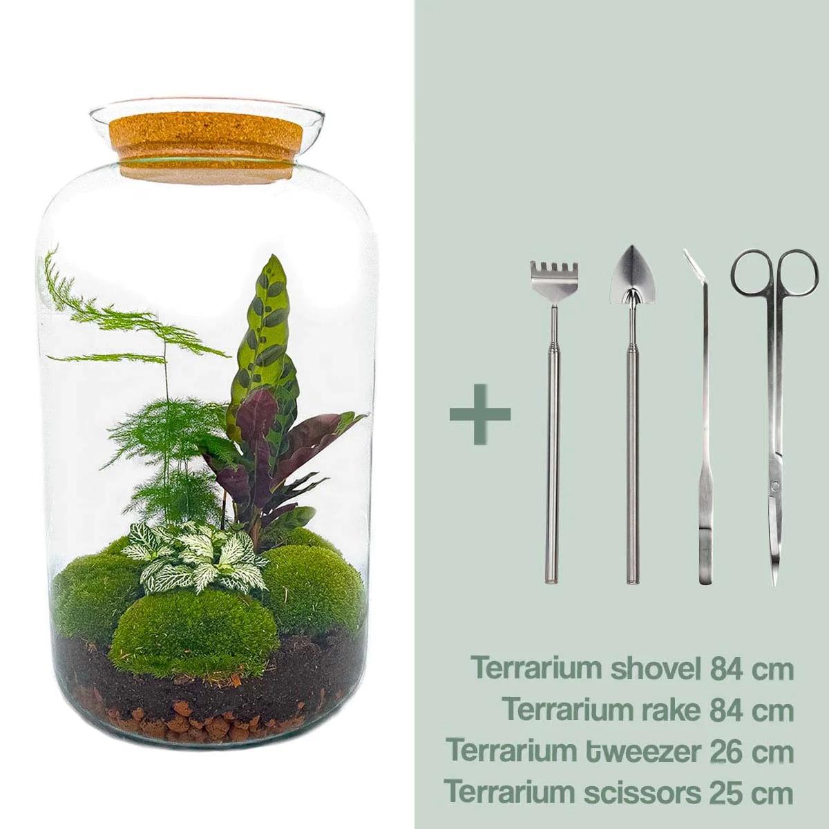 Flaschengarten Botanical Sven XL – 43 cm Ökosystem im Glas mit Werkzeug‑Set