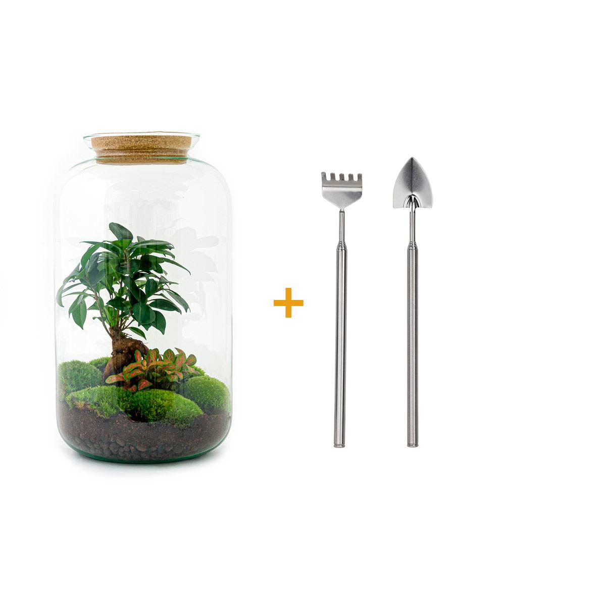 Flaschengarten - Sven Bonsai - ↕ 43 cm - Rake + Shovel