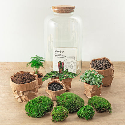 Flaschengarten - Botanical Sven XL 43 cm - Werkzeugset 3 Teilig