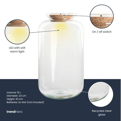 Terrarien-Flasche mit Beleuchtung - Sven XL - Ø 23 cm ↑ 43 cm