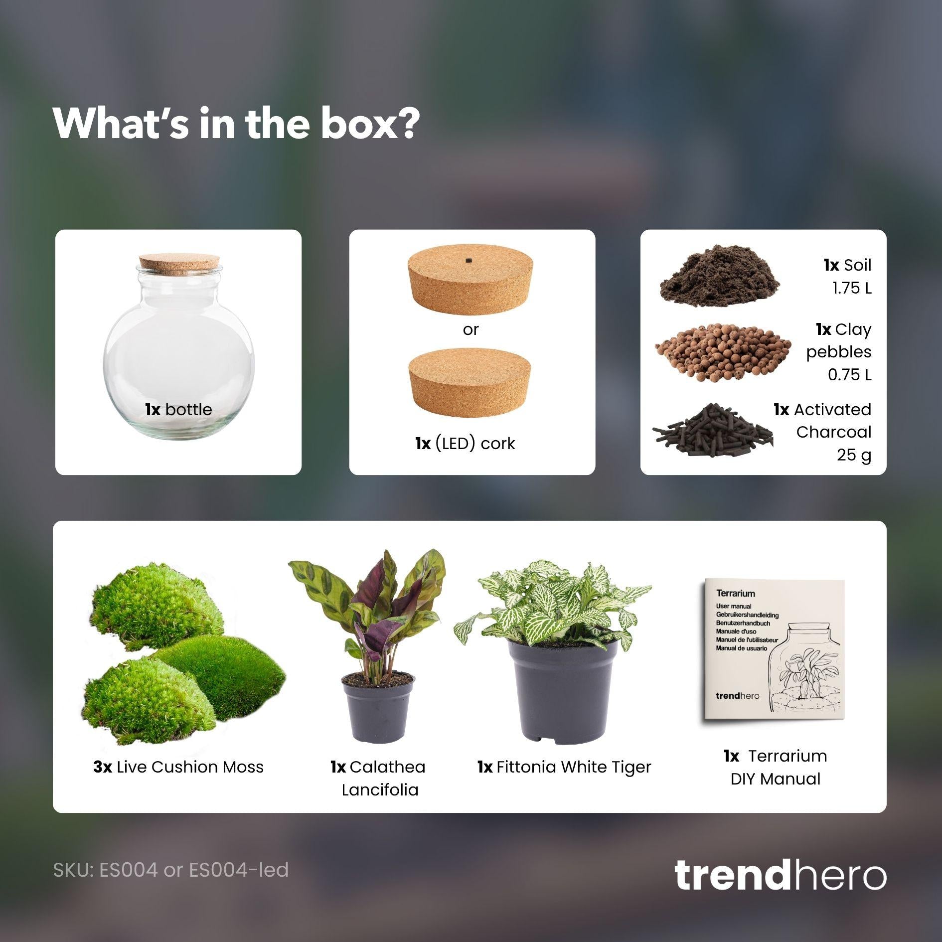 Flaschengarten - Teddy 26,5 cm mit LED Kork