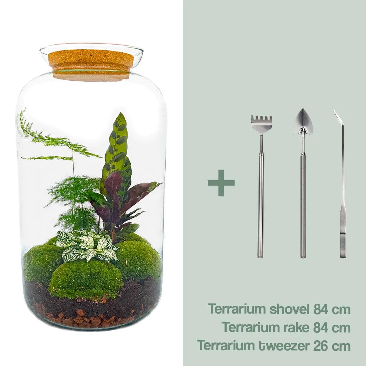 Flaschengarten - Botanical Sven XL 43 cm - Werkzeugset 3 Teilig
