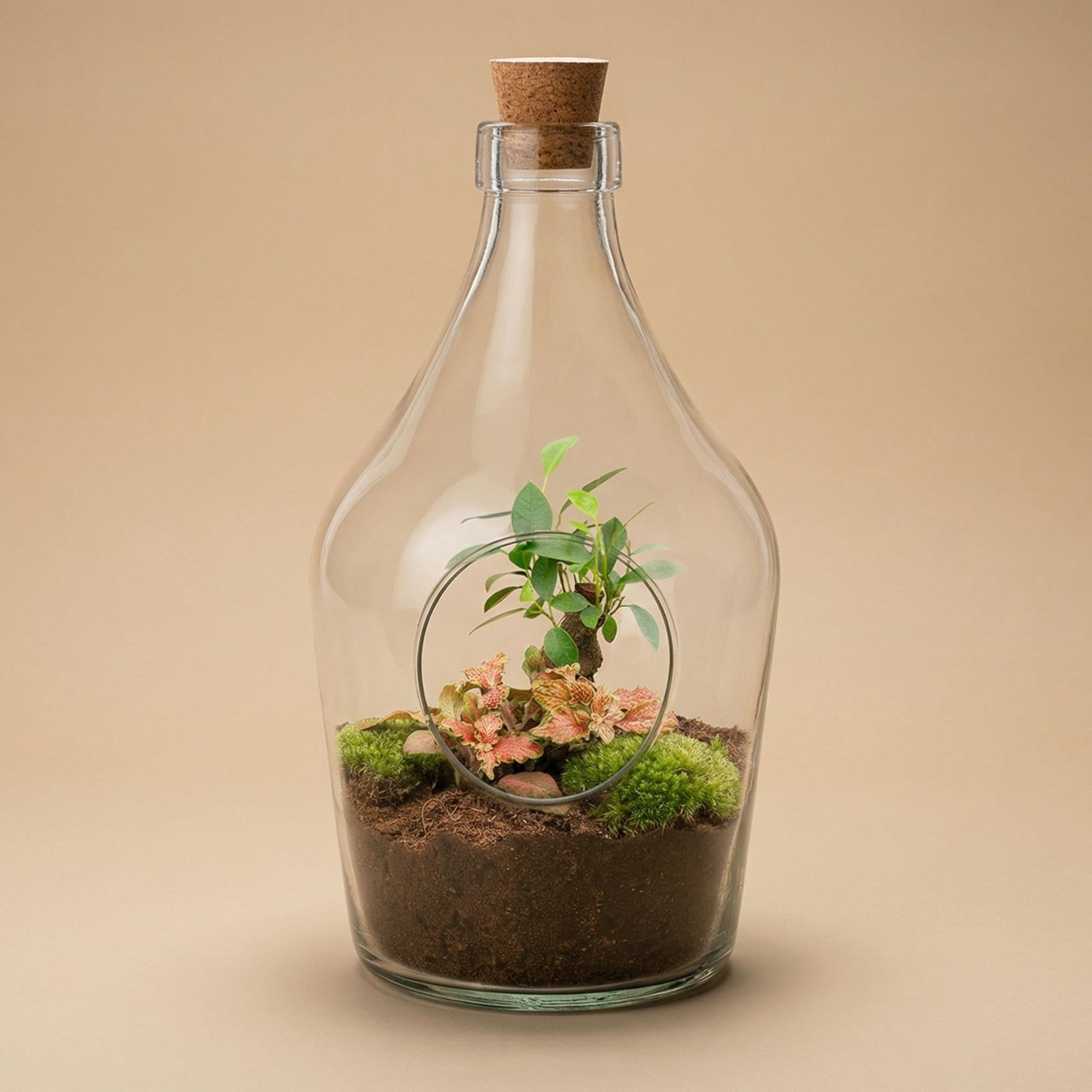 Offenes Terrarium John – Natürliches Grün für Ihr Zuhause