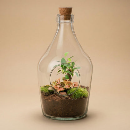 Offenes Terrarium John – Natürliches Grün