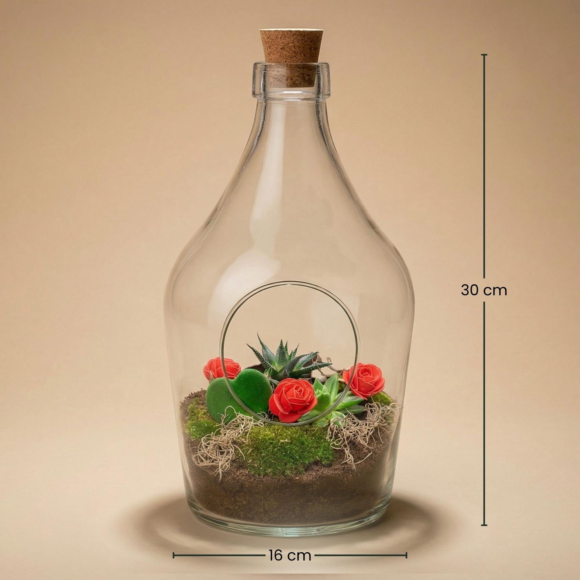 Liebe in der Flasche – DIY Terrarium Geschenkset mit Herzblatt & Sukkulenten