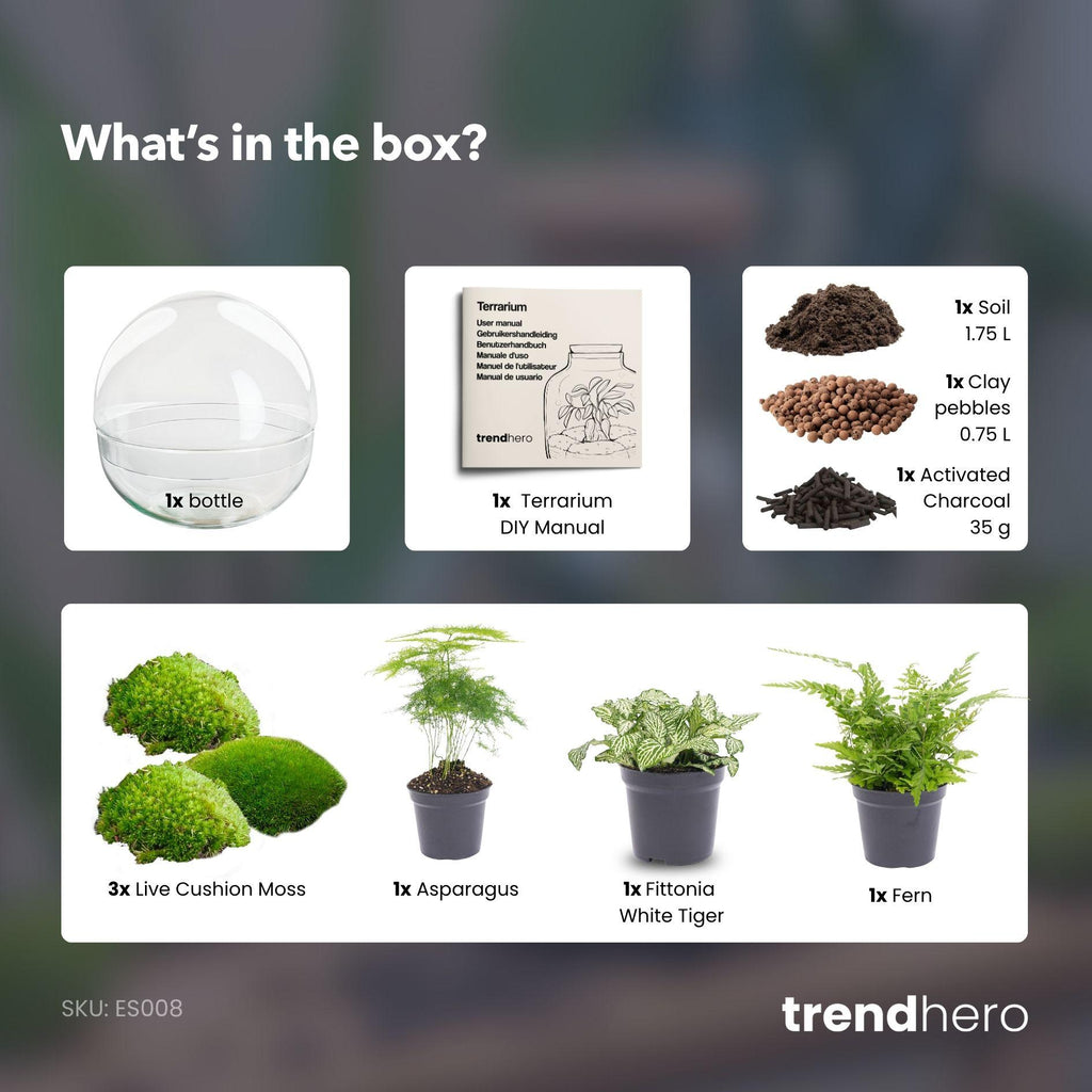 Flaschengarten - Dome XL - ↕ 30 cm