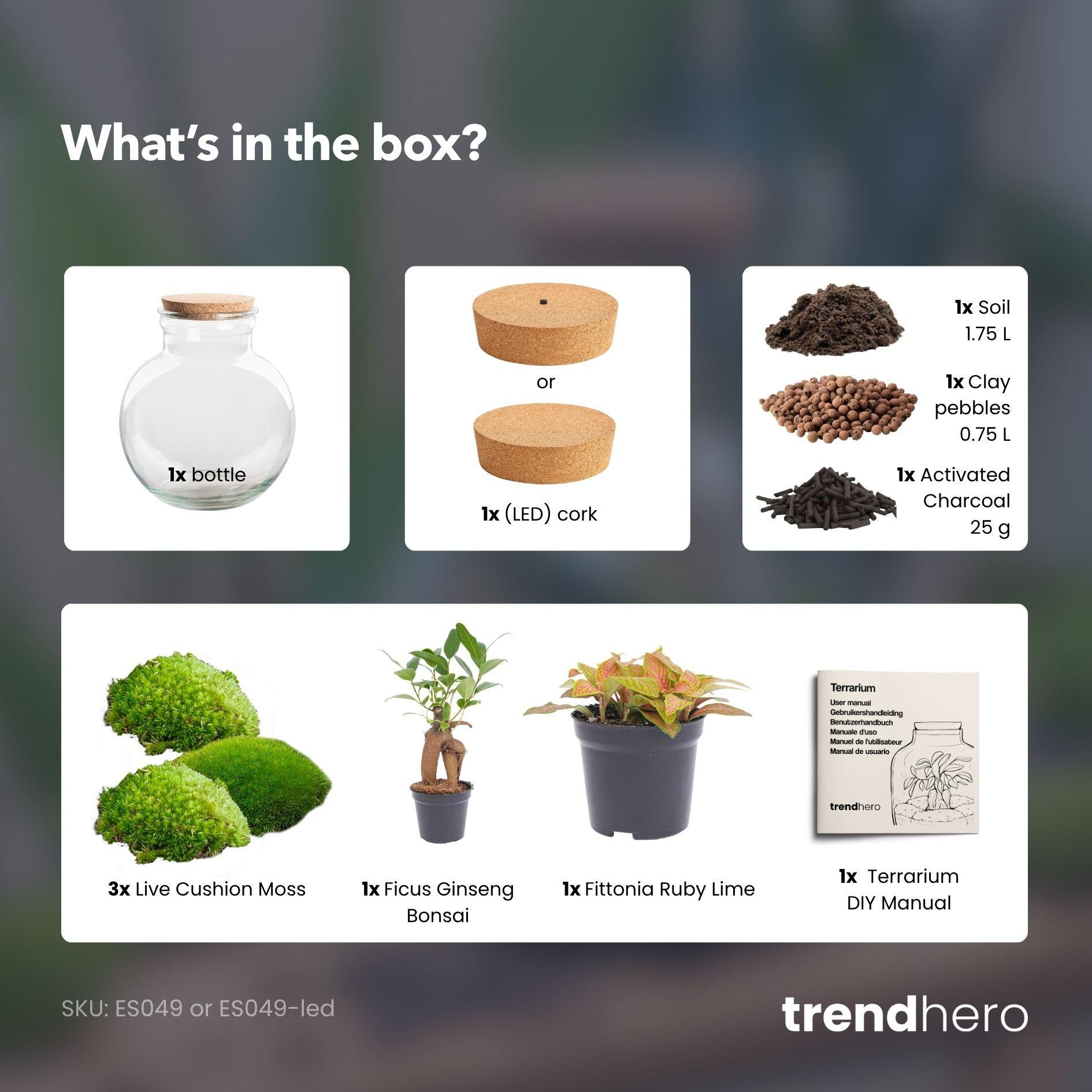 Flaschengarten - Teddy (26,5 cm) bonsai   - mit LED-Korken