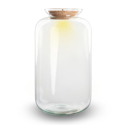 Terrarien-Flasche mit Beleuchtung - Sven XL - Ø 23 cm ↑ 43 cm